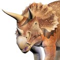 Triceratops © Laszlo Veres/Beehive Illustration
