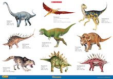 Dinosaurs illustration poster