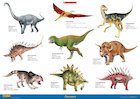Dinosaurs illustration poster