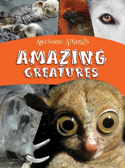 Awesome Animals: Amazing Creatures