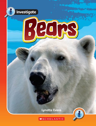 Investigate: Bears x 6