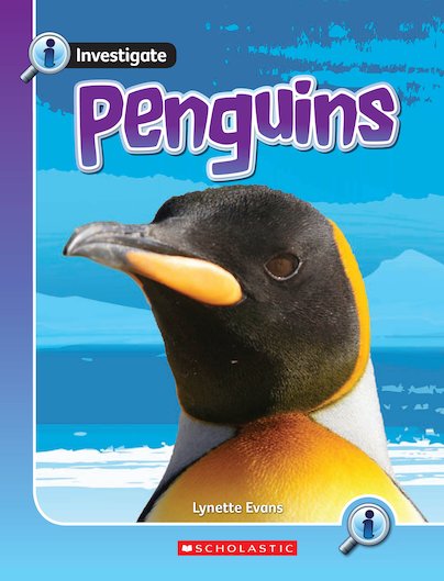 Investigate: Penguins x 6