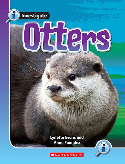 Investigate: Otters x 6