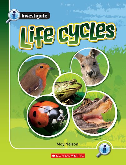 Life Cycles (Overview)
