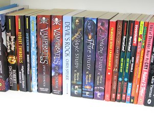 Books on Bookshelves 3