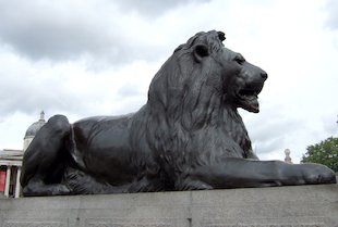 Trafalgar Square Lion