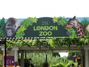 London Zoo