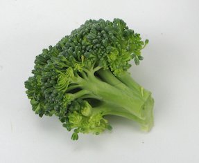 Broccoli Spear