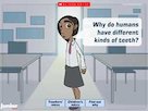 ‘Why?’ Science: the body – interactive