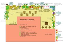 Sensory garden plan