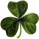 A shamrock A shamrock