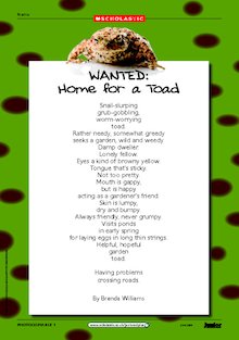 ‘Home for a toad’ environmental poem