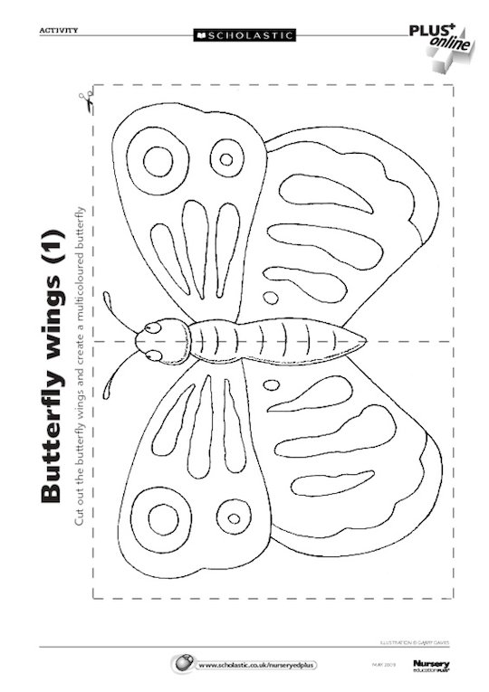 Butterfly wings 1