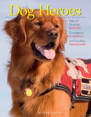 Dog Heroes