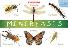 Minibeasts poster