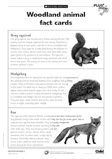 Woodland animal fact cards