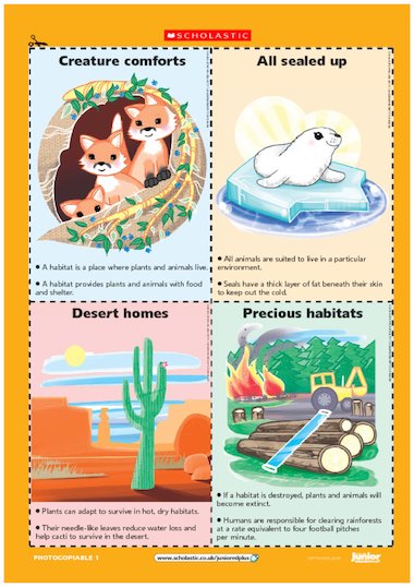 Animal habitats flashcards – Primary KS2 teaching resource - Scholastic