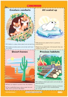 Animal habitats flashcards