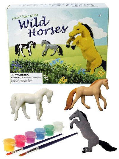 Paint Your Own Wild Horses