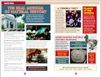 ELT Reader: Night at the Museum Fact File (1 page)