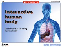 The human body – interactive resource