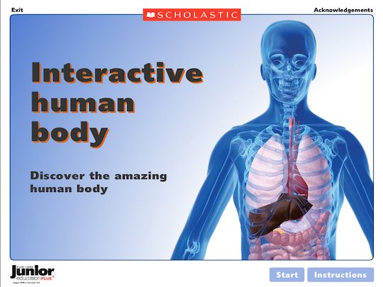 The human body - interactive resource