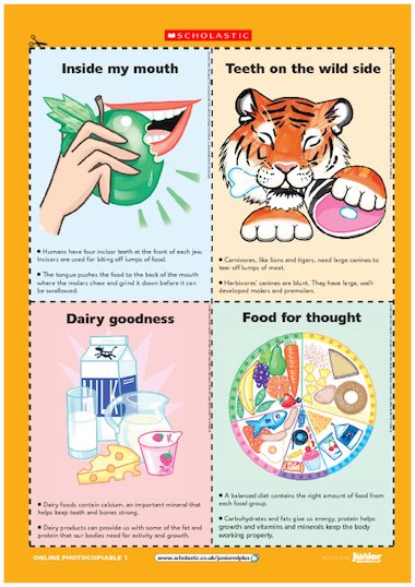Science flashcards – nutrition – Primary KS2 teaching resource - Scholastic