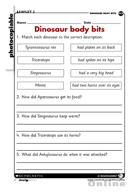 Dinosaur body bits