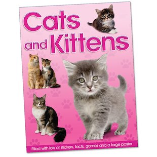 Cats and Kittens Fun Folder