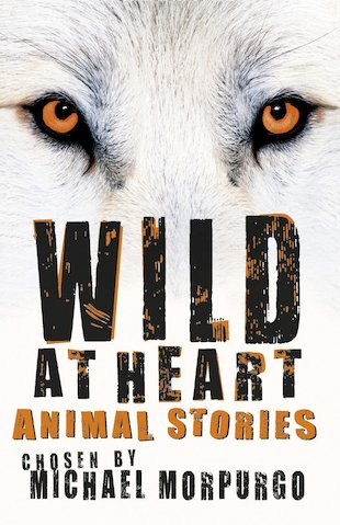 wild at heart [collector