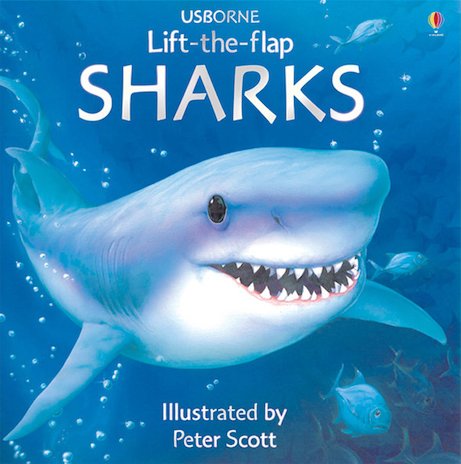 Lift-the-Flap Sharks