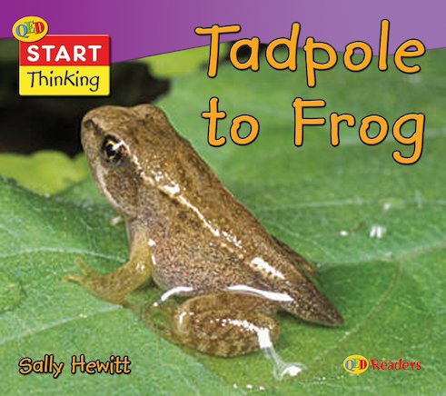 Start Thinking: From Tadpole to Frog