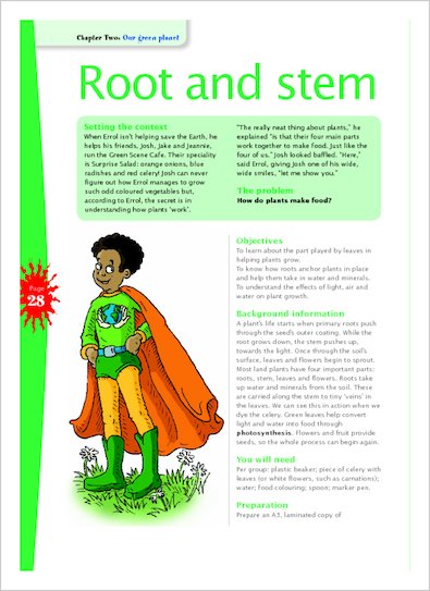Root and stem