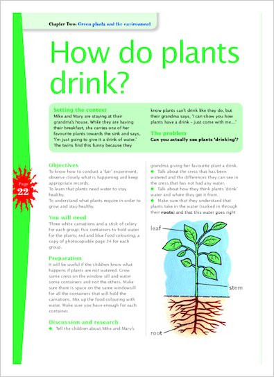 How do plants drink?