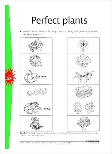 Perfect plants