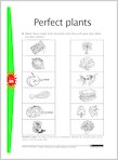 Perfect plants (1 page)
