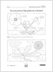 Do you know the parts of a flower? (1 page)