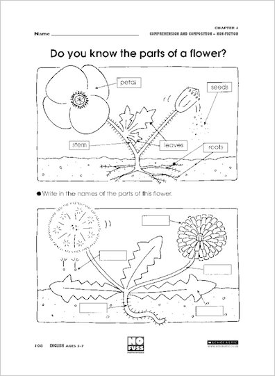 Do you know the parts of a flower?