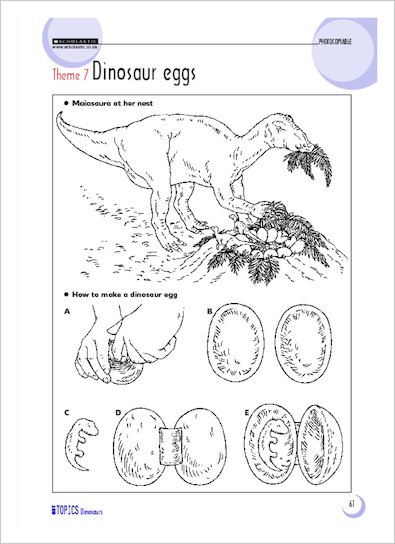 Theme 7: Dinosaur eggs