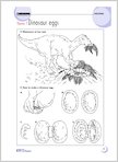 Theme 7: Dinosaur eggs (1 page)