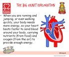 The heart and keeping healthy