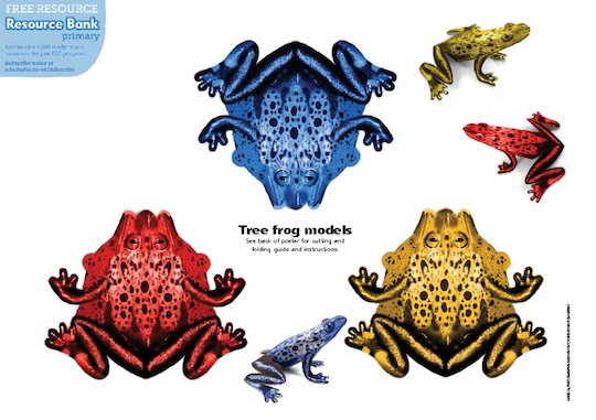Paper model animals: Tree frogs