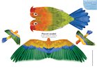 Paper model animals: Parrot