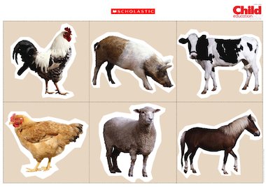 Farm animal poster – Primary KS1 teaching resource - Scholastic