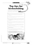 British birds activities (4 pages)