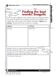 Finding the best words: seagulls