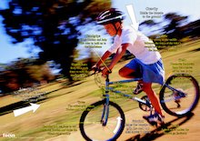 Bicycle forces – photo poster