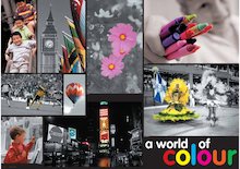 A world of colour