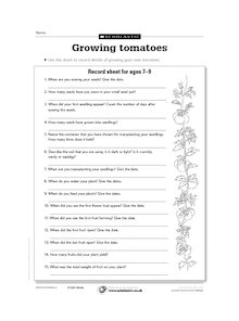 Growing tomatoes (ages 7-9)