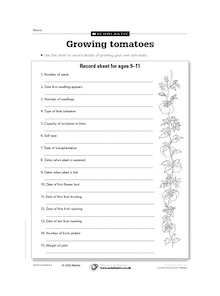 Growing tomatoes (ages 9-11)